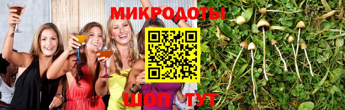 Псилоцибиновые грибы Psilocybine cubensis  Вход с VPN  что такое   Электросталь 