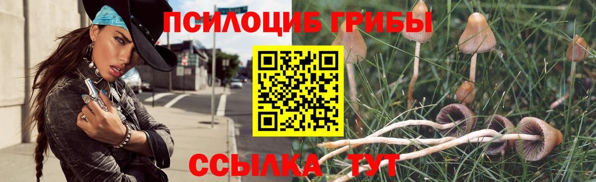 Галлюциногенные грибы Psilocybe Электросталь